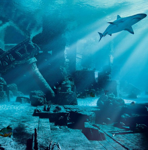 Atlantis the Palm shark tank