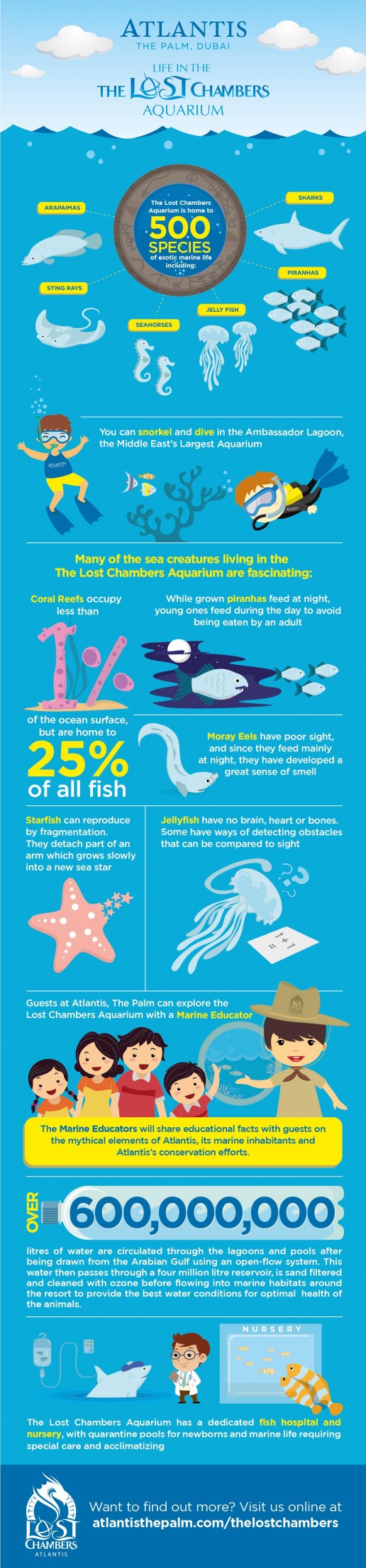 Lost Chambers Aquarium Infographic