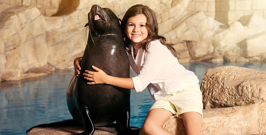An Unforgettable Sea Lion Discovery Experience at Atlantis, The Palm!