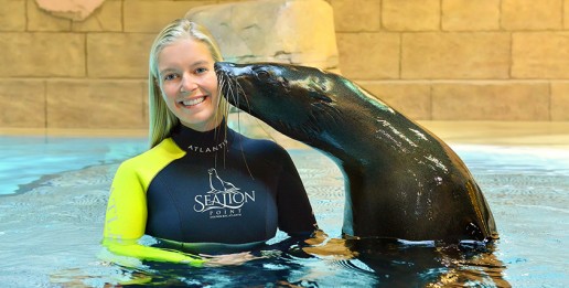 Sea Lion Discovery - Atlantis The Palm Dubai