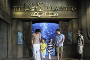 World Ocean's Day at The Lost Chambers Aquarium