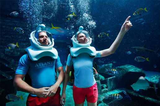 Experience the Sights of Marine Life at Atlantis Dubai with These Unique Underwater Helmet Diving Experiences