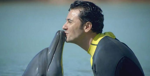 Dolphin Bay voted one of the best animal encounters in the world at the 2015 Worldwide Attraction Awards