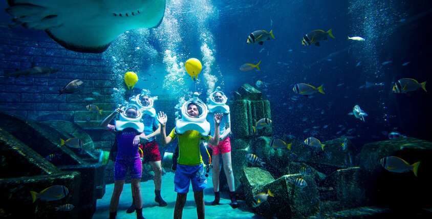 Discover the Top Things to Do in Atlantis, The Palm