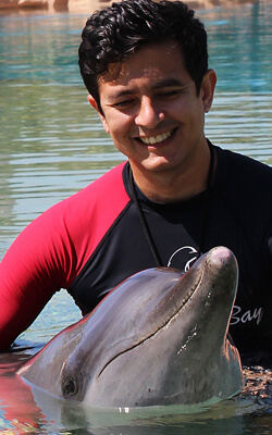 Behind The Scenes : Dolphin is a Man’s Best Friend