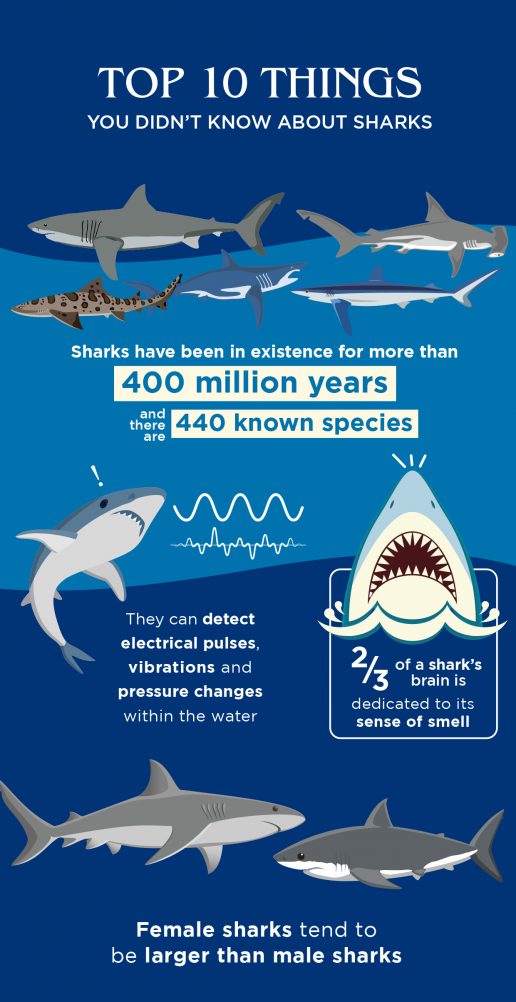 top-facts-atlantis-shark-week