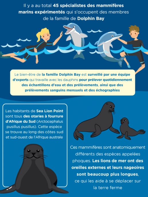 La-famille-Dolphin-Bay-consomme-entre-5-et-7-kg-de-poisson-par-jour