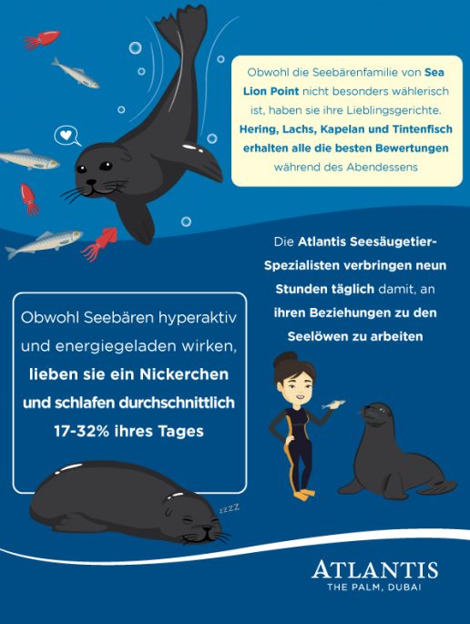 seals-sea-lion-point-atlantis-dubai