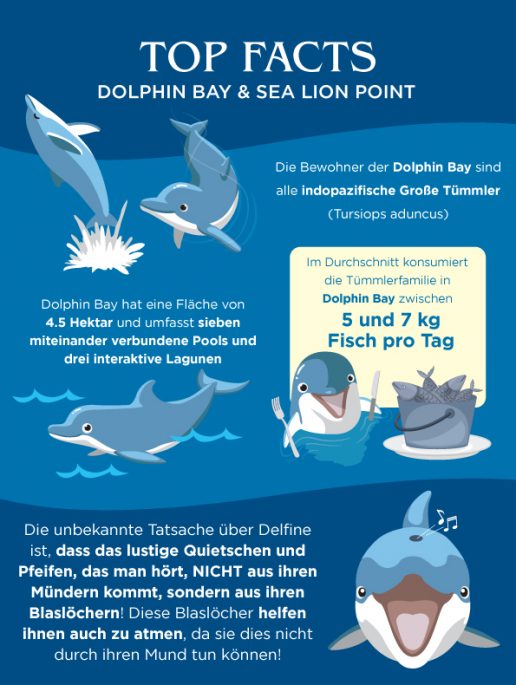 top-fakten-dolphin-bay-atlantis-dubai