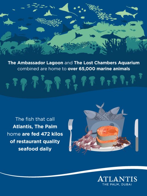 ambassador-lagoon-and-the-lost-chambers-aquarium
