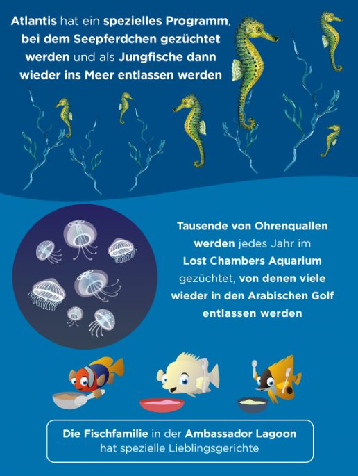 special-breeding-programme-atlantis-dubai-aquarium