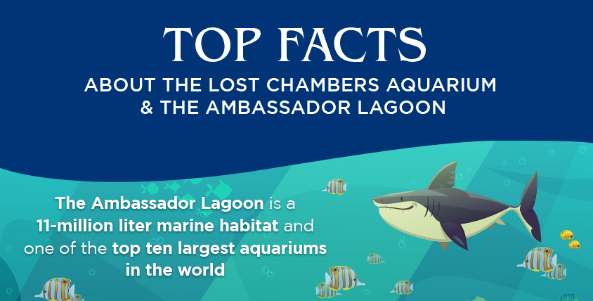 Top 7 Facts About Atlantis Dubai Aquarium