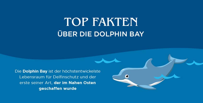 Top Fakten über die Dolphin Bay im Atlantis, The Palm