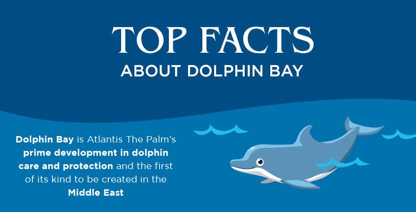 Top Facts About Dolphin Bay at Atlantis, The Palm