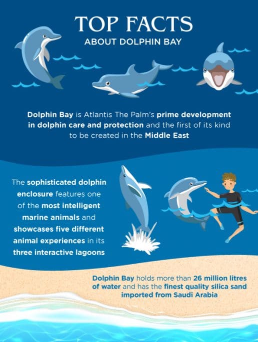 top-facts-dolphin-bay-dubai