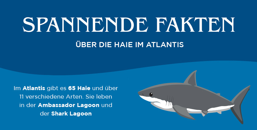 6 Spannende Fakten über die Haie im Atlantis