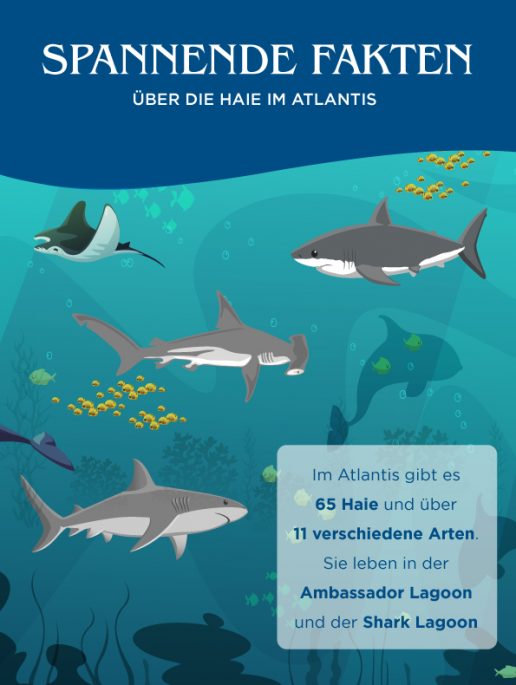 beeindruckende-fakten-über-die-shark-week
