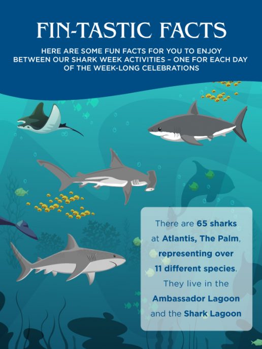 atlantis-shark-week-facts
