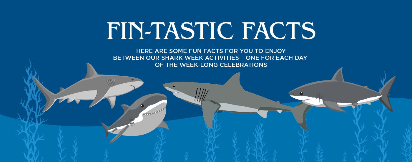6 ‘Fin’tastic Facts About Atlantis Sharks