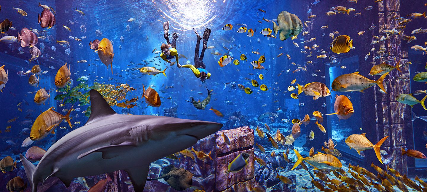 Celebrate World Oceans Day with Atlantis, Dubai