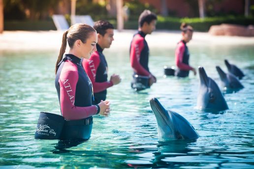 dubai-dolphin-bay-sustainability-initiatives-at-atlantis